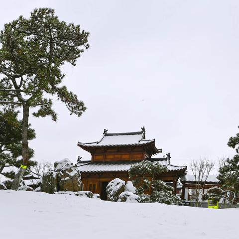 雪后，悦容公园