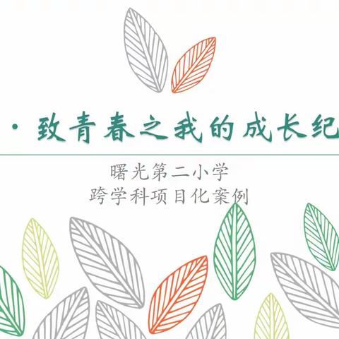 项目化案例展示||经开区曙光第二小学：《感恩·致青春之我的成长纪念册》