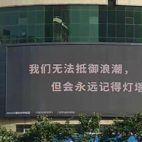 学习青春榜样，做自贸港好青年