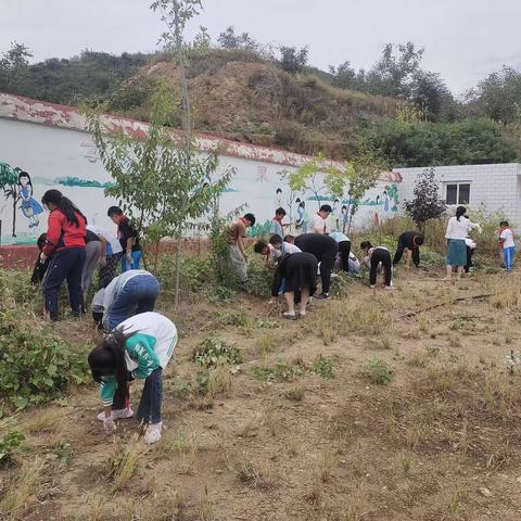 劳动励心智 实践促成长－红峪口小学实践基地秋收成果实践纪实