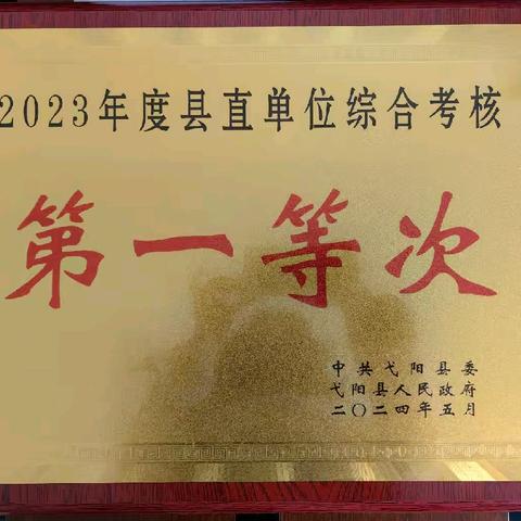 奋楫笃行 ，争创一流！县城管局2023年度荣誉盘点