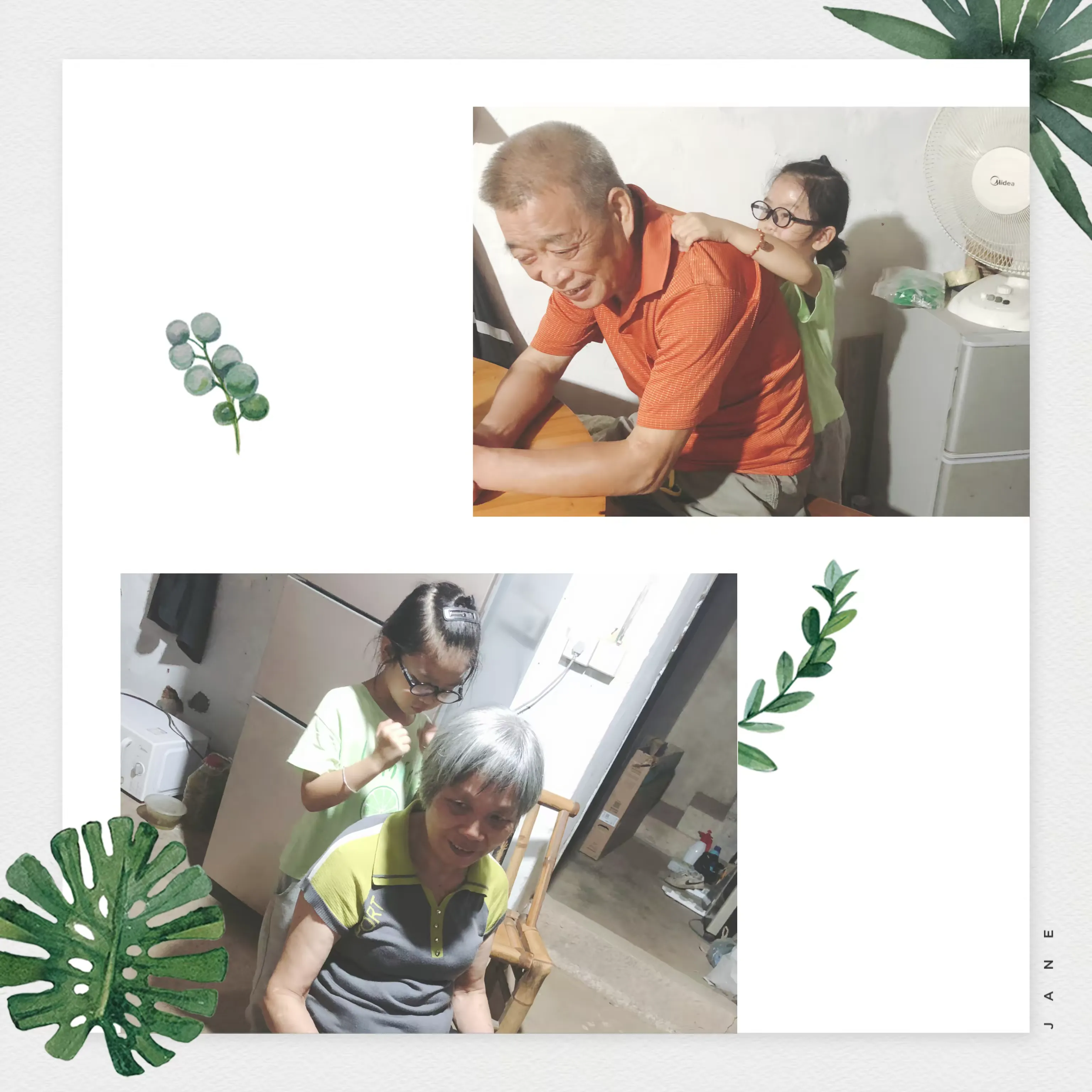 简篇-佳节又重阳,九九思亲浓