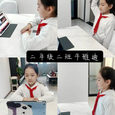 音乐线上教学小结