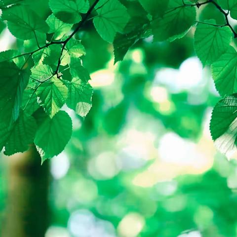 《重踏摄影家李生伟拍摄岩羊之路》