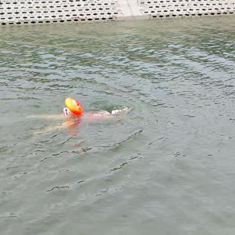 户外游泳：在自然中找回身心平衡