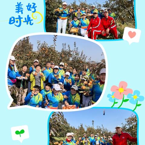 柿红秋浓，助农同行！