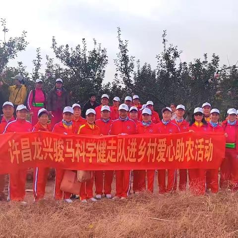 健走赴陕州 助农摘甜果——许昌市健步走运动协会龙兴骏马队西张村助农行动纪实