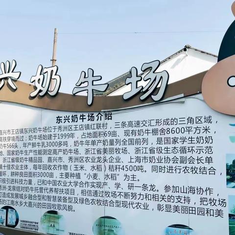 我的寒假生活之参观奶牛场