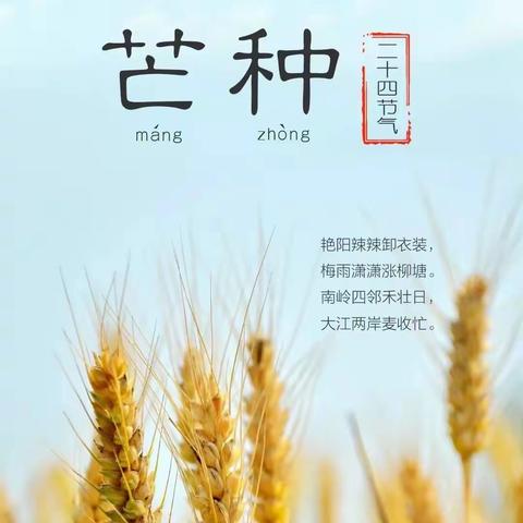 【仲夏芒种至，忙中乐融融】景苑学校一年级二班开展“二十四节气活动之--芒种”主题活动