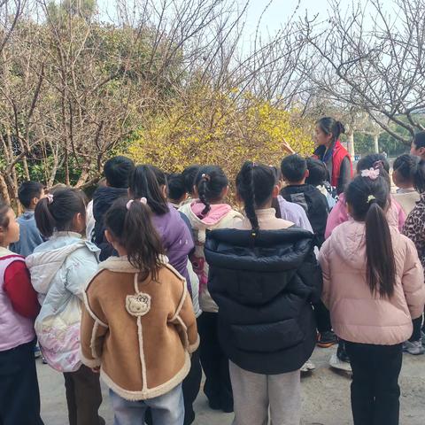 植绿护绿·童心向美——洪绪镇中心小学开展2026年植树节主题活动