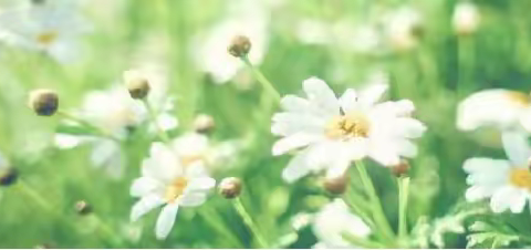 （2024）“春” 同学天成之旅