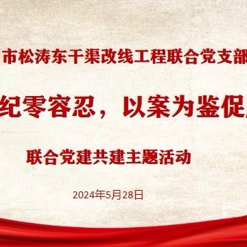 儋州市松涛东干渠改线工程联合党支部开展“正风肃纪零容忍，以案为鉴促廉洁”党建共建主题活动