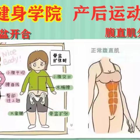领跑健身学院 产后运动康复：腹直肌分离、骨盆开合