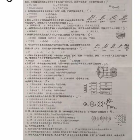 三组生物作业