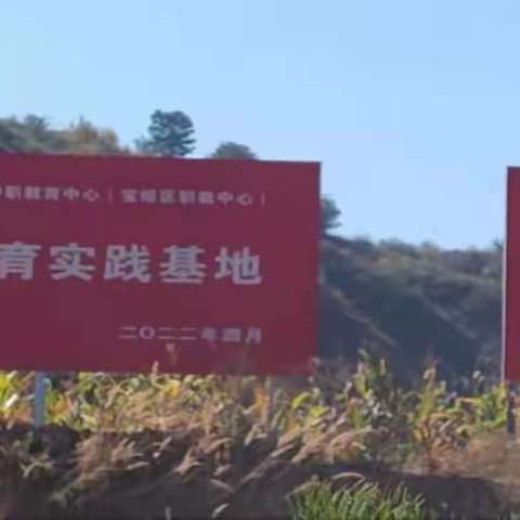 延安职业技术学院中职教育中心21级“金秋十月”劳动实践活动