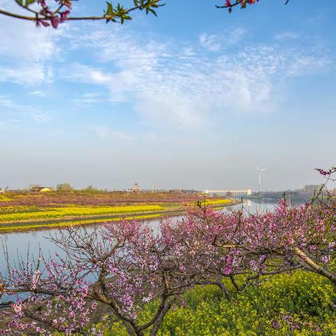 美丽桃花源