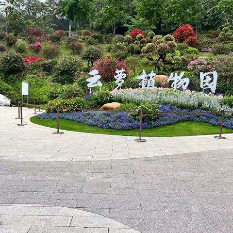 元元的云萝植物园初游记