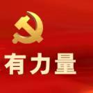 申城特别报道｜2024年理事会年会暨2023年度优秀志愿者表彰大会