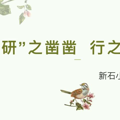 【新石小学】教研花开行致远，不负春光满庭芳——一年级组新课标理念下语文大单元教学研讨