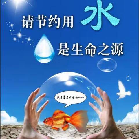新河完全小学：惜水、爱水、节水、从我做起