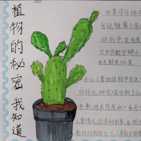 与你“项”约，植物的秘密|“植”等你来，非你莫“数” 曙光第四小学项目化作业成果展之数学篇