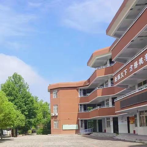 新华区新新街小学2024年秋季新生招生简章