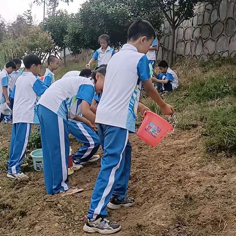 爱我家乡 美我家乡 楚辞少年种植花卉