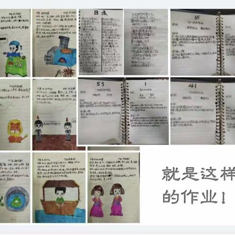 北街小学·悦纳教育||教师讲堂《点燃阅读的火花》