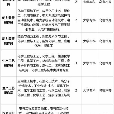 国能新疆化工有限公司2023年度春季招聘职位表