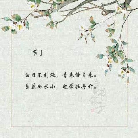 苔米花虽小，也学牡丹开——砖埠镇石沟联小二年级班级风采