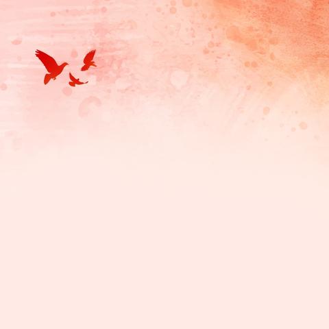 桥南社区党支部开展“聚焦国庆七六载，砥砺奋进新征程”主题党日活动