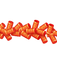 缤纷寒假，“蛇”显身手 ‍——晨曦小学205班“五个一”活动记录篇