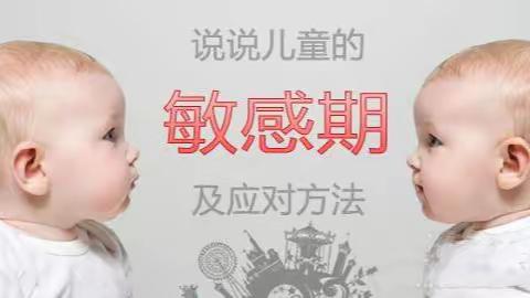 【大同育儿知识】2－3岁孩子的敏感期之秩序敏感期