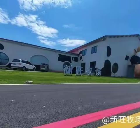 “体验牛仔的一天”主题研学 牛民俗探秘之旅