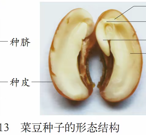 2022-2023学年八年级实验一