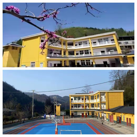 民大附小教育集团板桥镇新田小学第二十周田甜周报