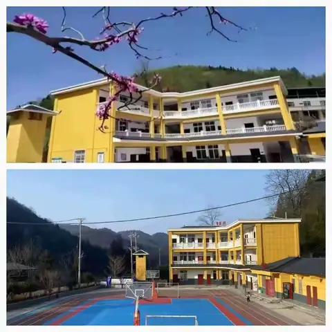 民大附小教联体新田小学第8周田甜周报