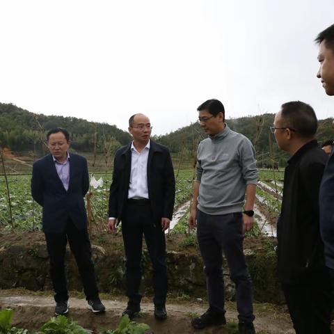 【灵秀济村】干群同心齐上阵  灾后自救保民生