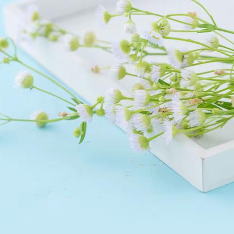 布亚乡中心小学2023-2024学年第一学期开学典礼暨2022-2023学年第二学期表彰总结大会