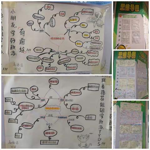 多彩图表绘就知识网，思维导图架起记忆桥
