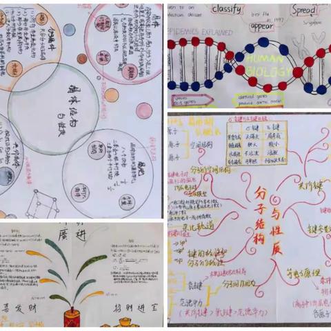 多彩图表绘就知识网，思维导图架起记忆桥