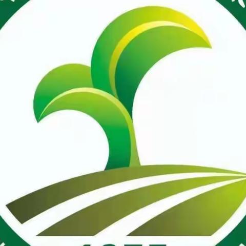 五育融合，立德树人——2022年秋季第十七周工作简记