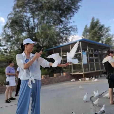 轻轻从身边走过