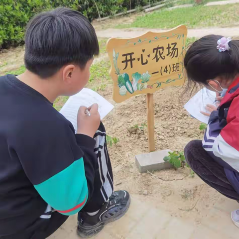 徐州市第十四届中小学研究性学习成果——稳固的班牌