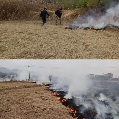 【以案说法】过火面积达8亩之多，重罚！