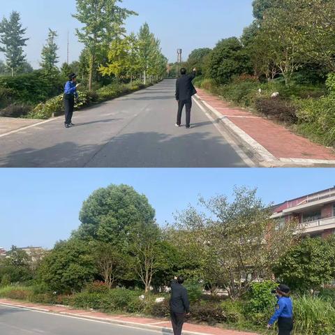 保护野生动物，远离非法捕猎