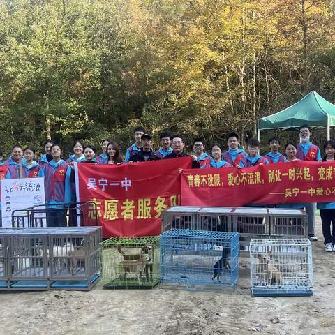 行风（歌山中队）的文章