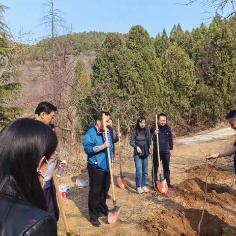 济南市委老干部局到南部山区高而办事处东沟村开展义务植树活动