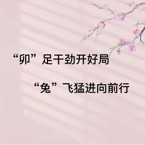 “卯”足干劲开好局 “兔”飞猛进向前行          ——记浦贝乡中心小学教学常规及教材教法培训