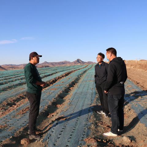 王大喜给农民算了一笔收入帐